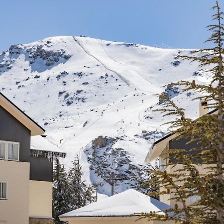 Bibo Suites Sierra Nevada Buitenkant foto